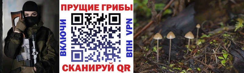 Галлюциногенные грибы MAGIC MUSHROOMS  Нижний Ломов 